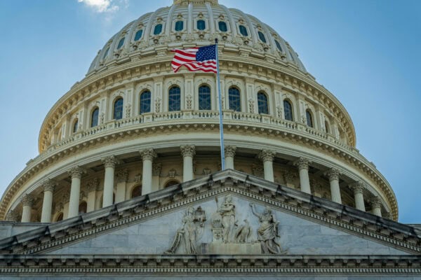U.S. Capitol in Washingon, D.C.